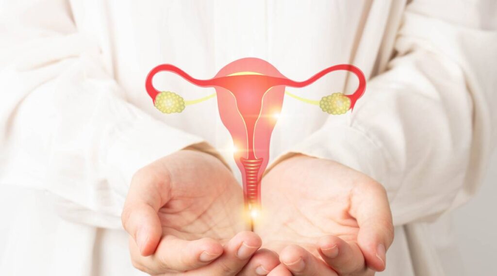 bartolinijeva zlezda